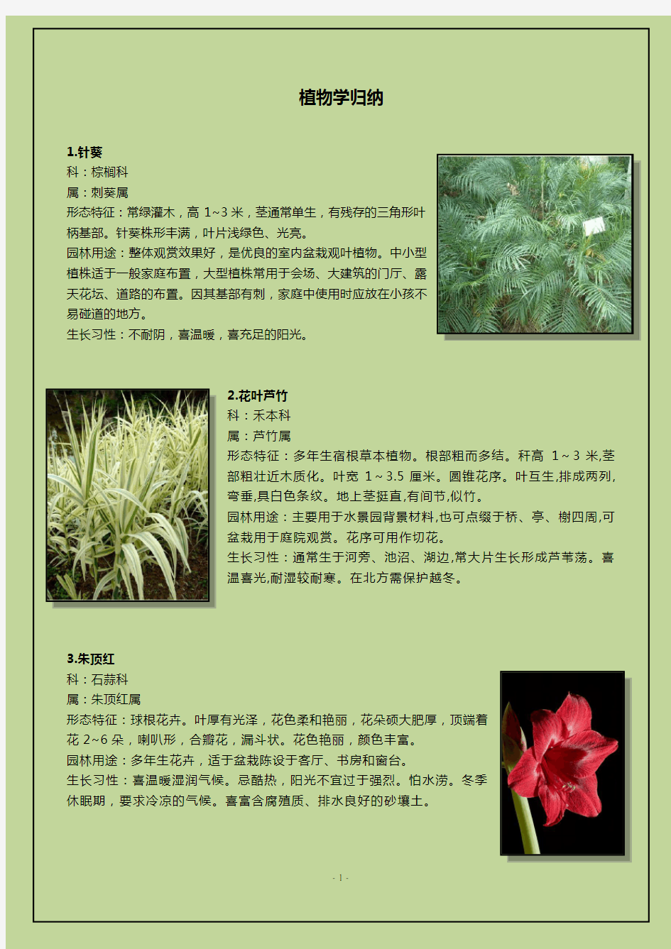 50种植物配图介绍