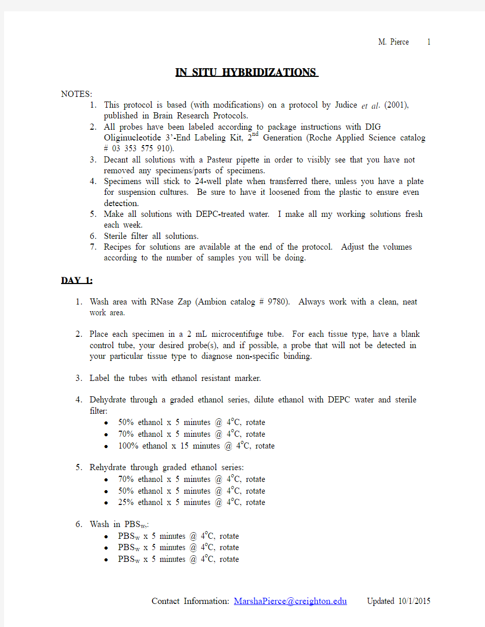 In Situ Hybridization Protocol