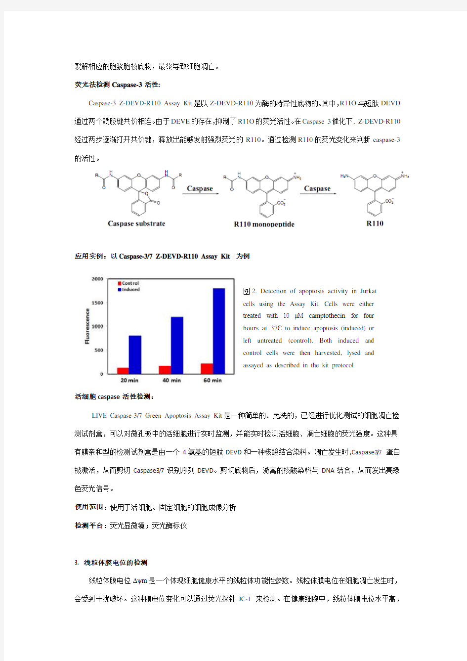 细胞凋亡检测方法