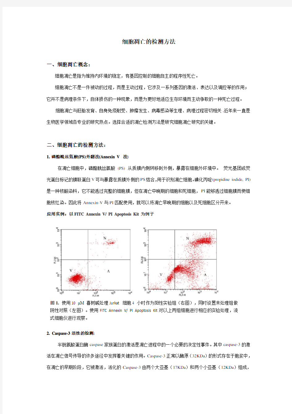 细胞凋亡检测方法