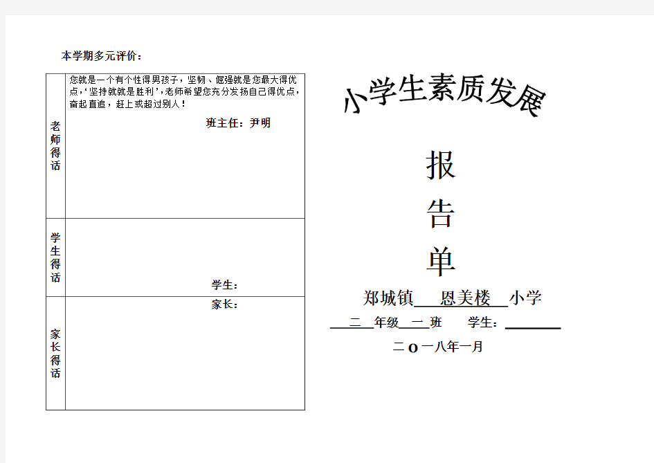 小学学生综合素质评价综合版