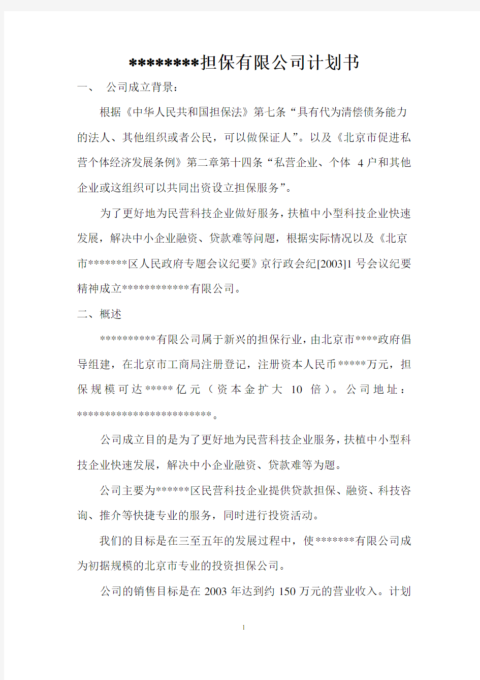 担保公司经营计划书