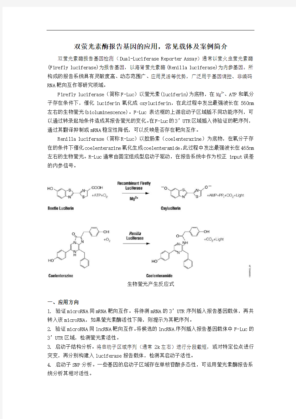 双萤光素酶报告基因的应用,常见载体及案例简介