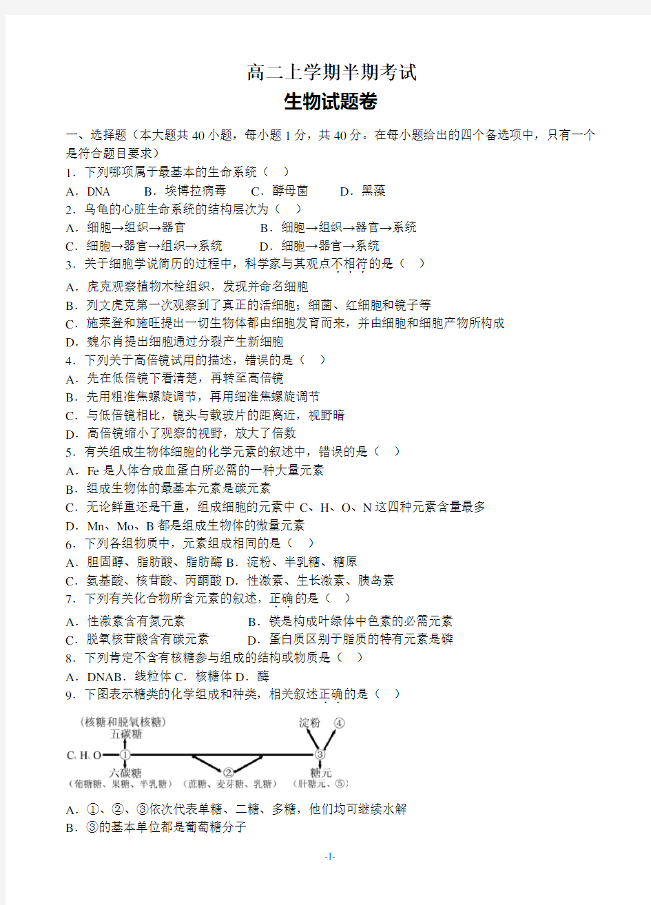 高二上期半期考试生物试题及答案