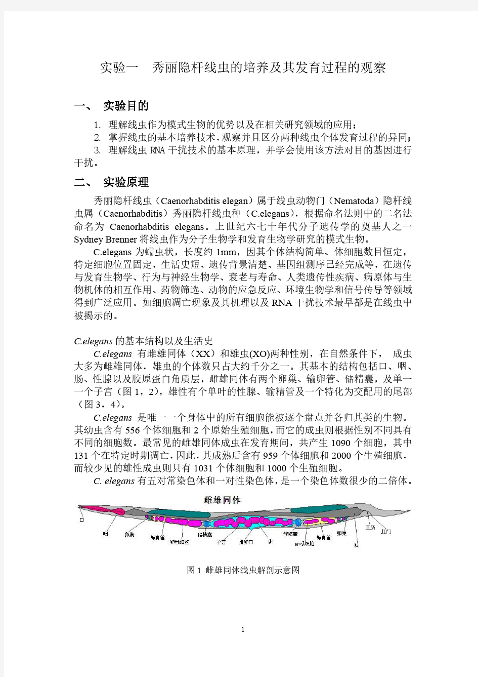 发育生物学教案-2015年