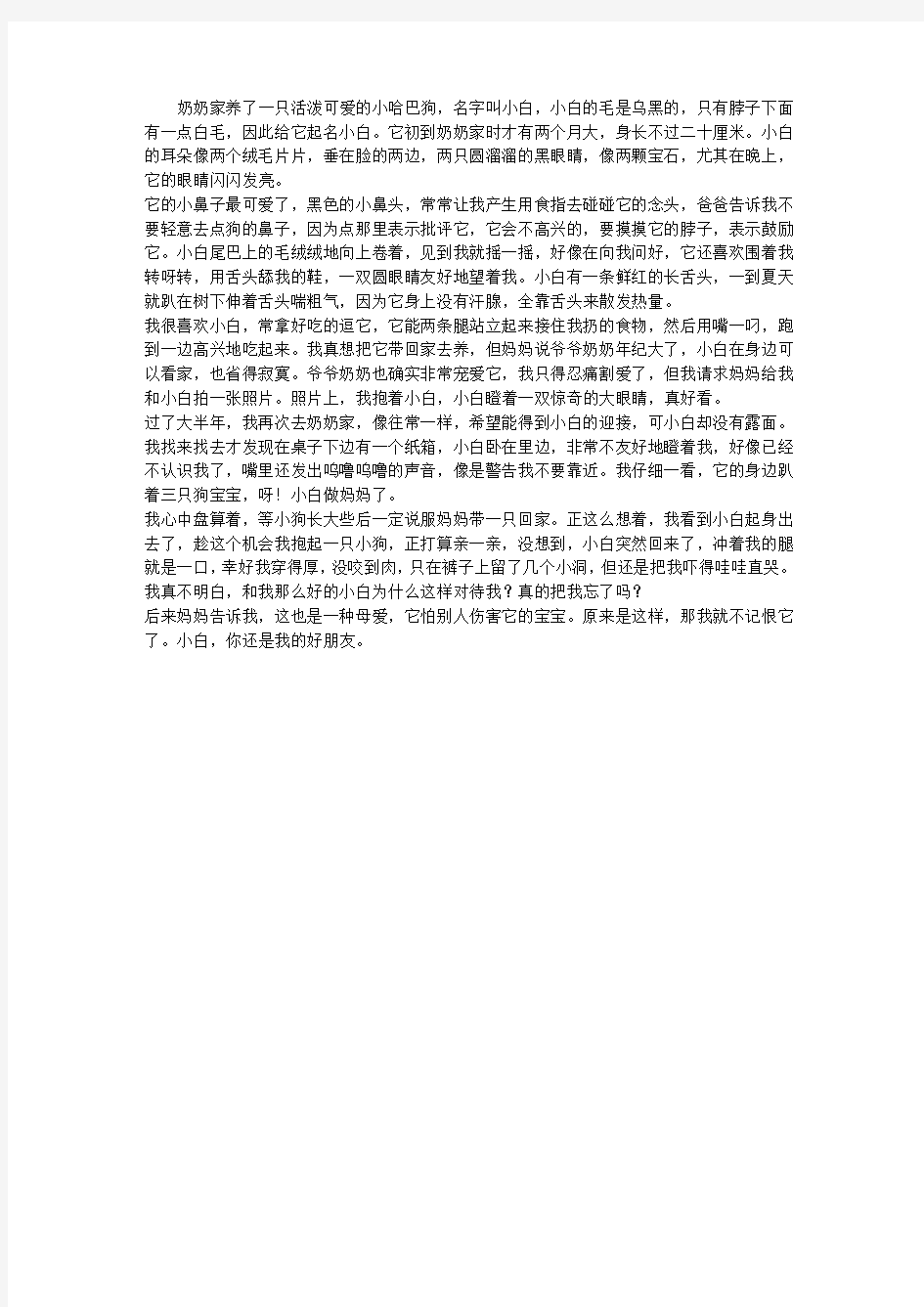 一只叫小白的小狗