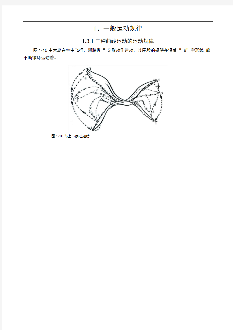 动画运动规律-第一章-1.3.1三种曲线运动的运动规律3-教学课件