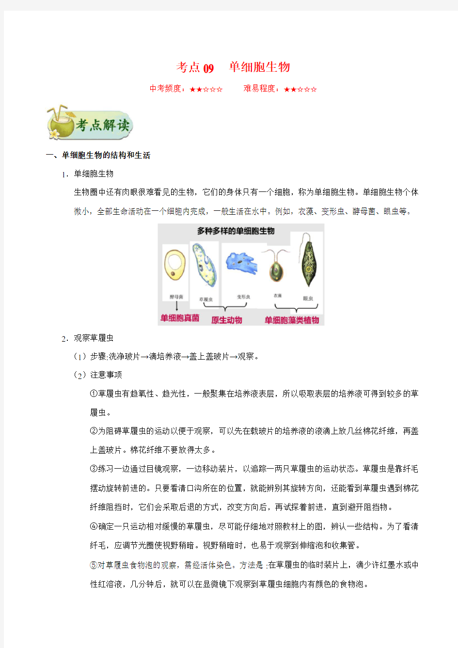 金老师教育培训备战中考生物知识点汇总含同步练习及答案专题09 单细胞生物