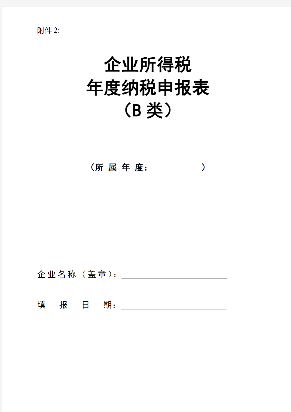 企业所得税年度纳税申报表B类