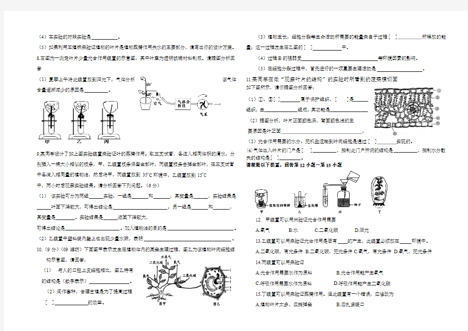 七年级生物光合作用和呼吸作用测试题