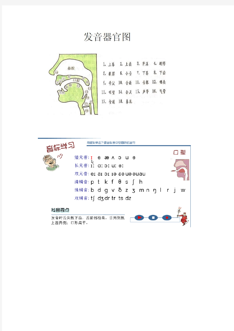 英语国际音标发音口型_舌位一览表