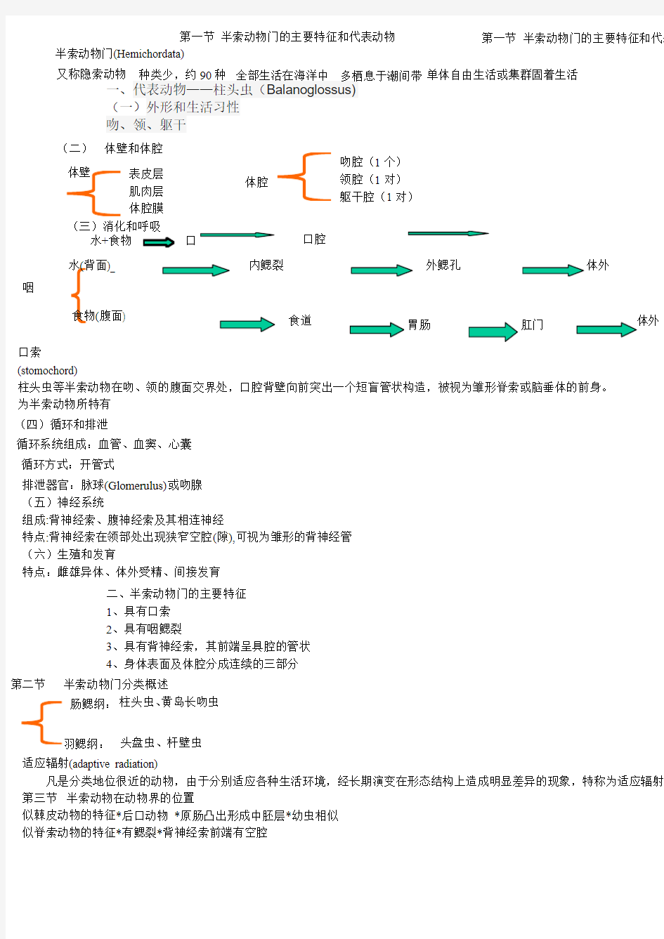 半索动物