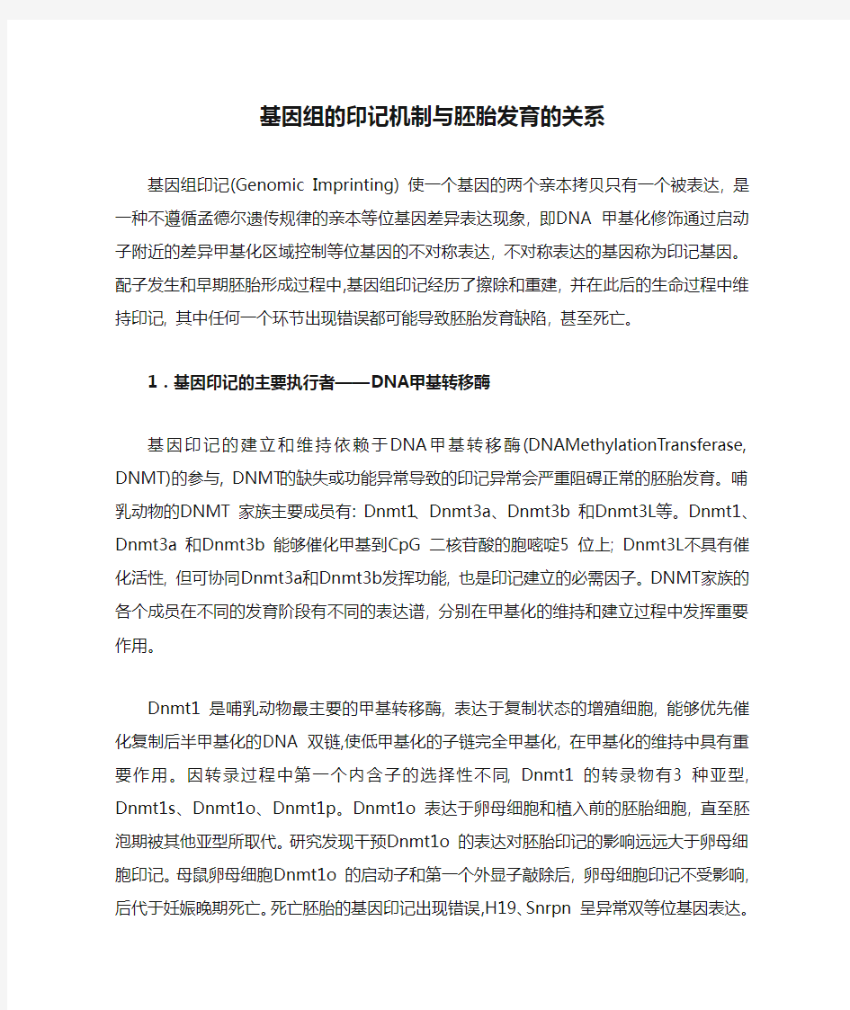 基因组的印记机制与胚胎发育的关系