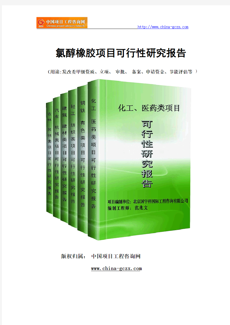 氯醇橡胶项目可行性研究报告范文格式(专业经典案例)