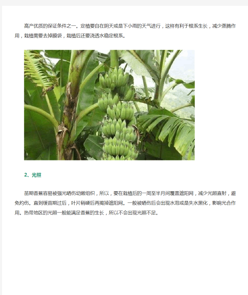 香蕉种植管理技术
