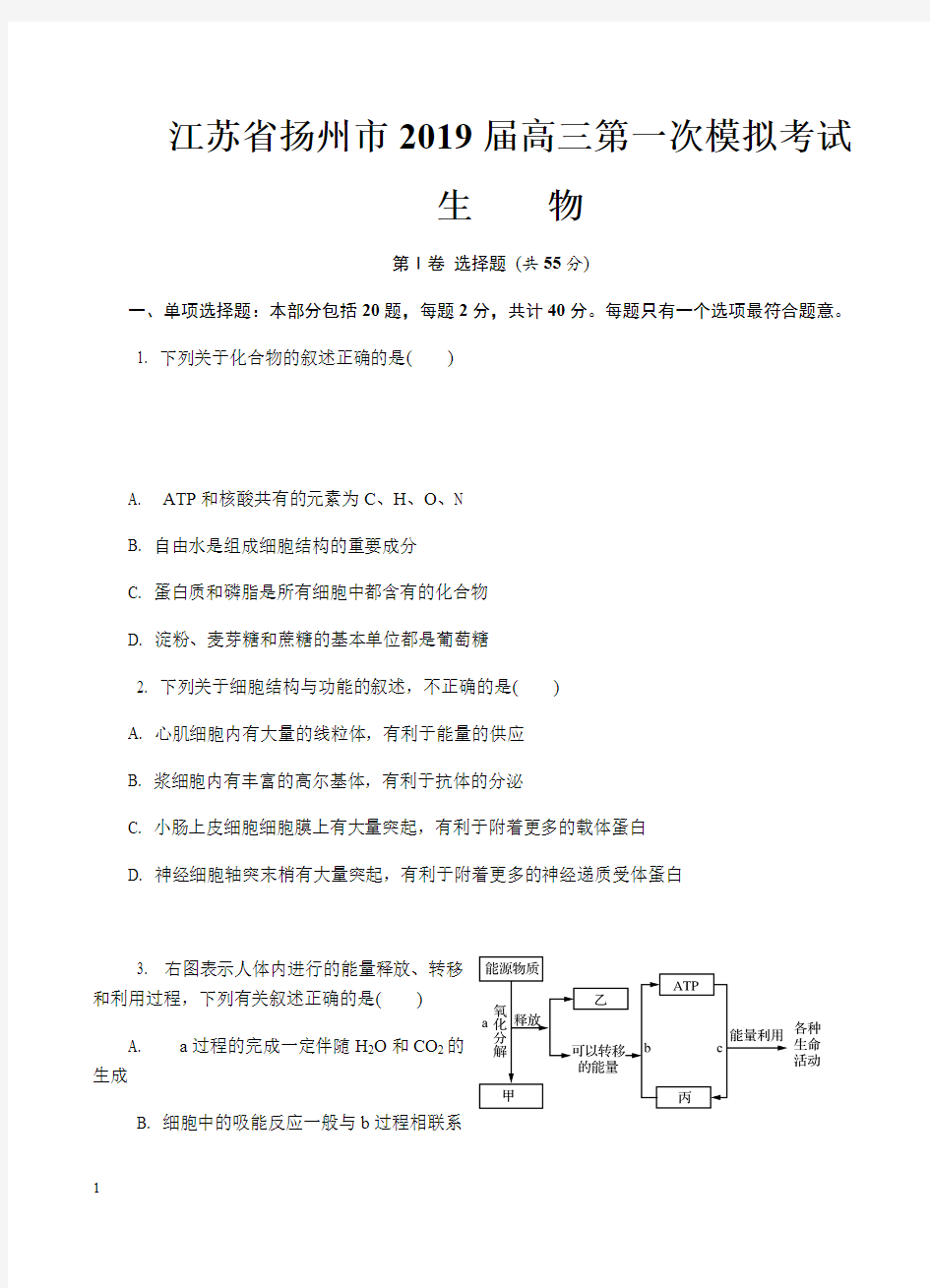 江苏省扬州市2019届高三第一次模拟考试生物试卷含答案