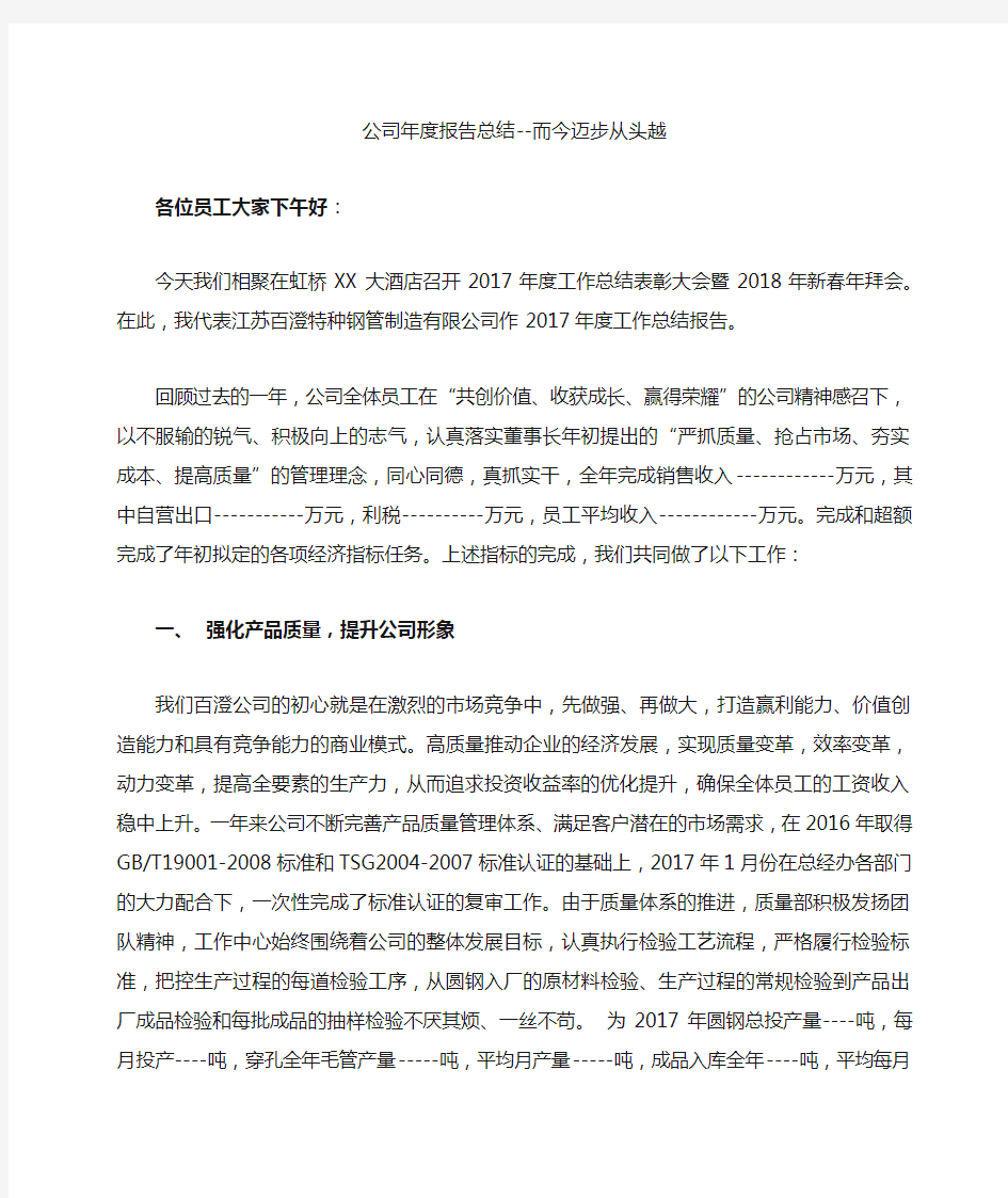 公司年度报告总结