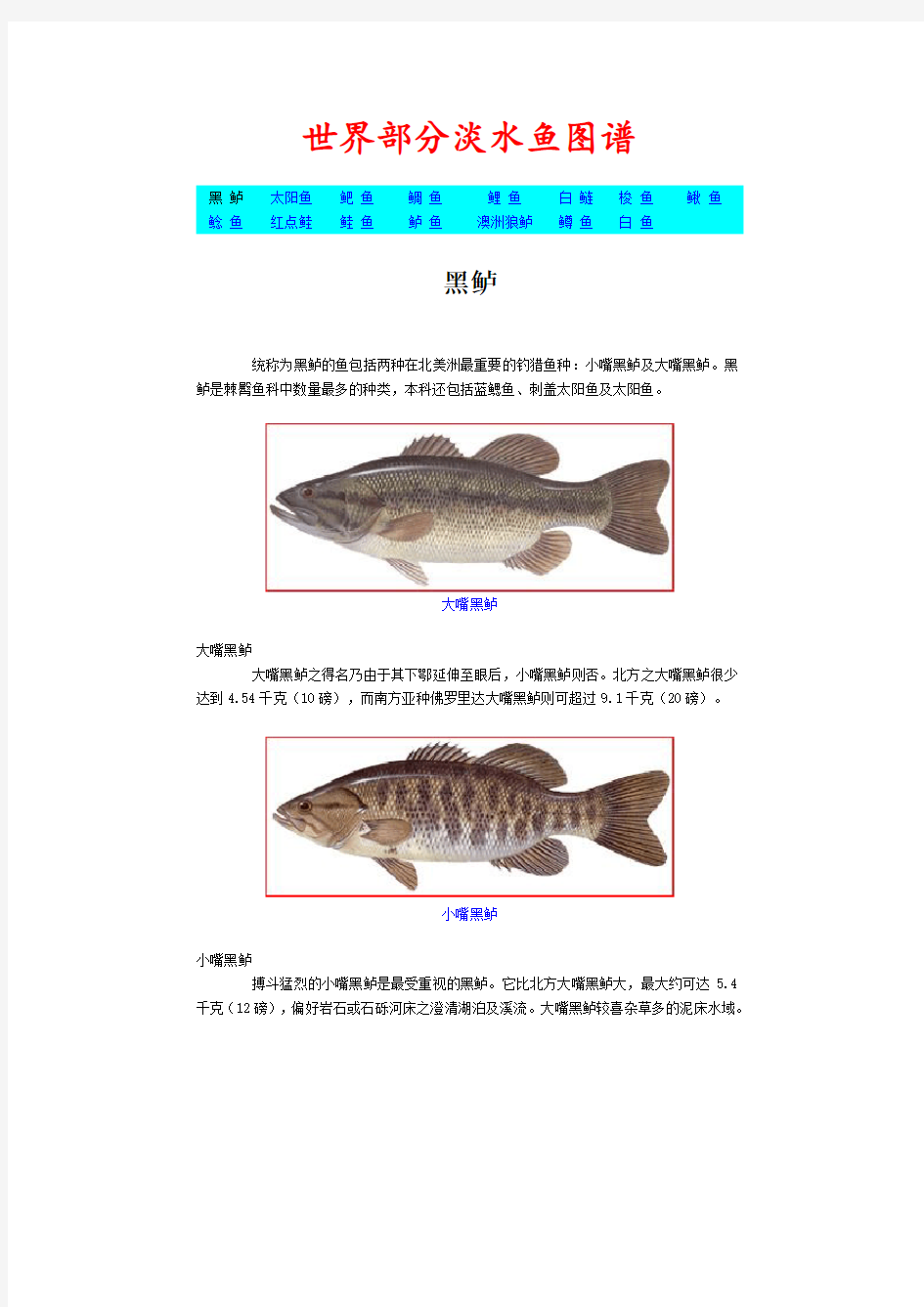 世界部分淡水鱼图谱