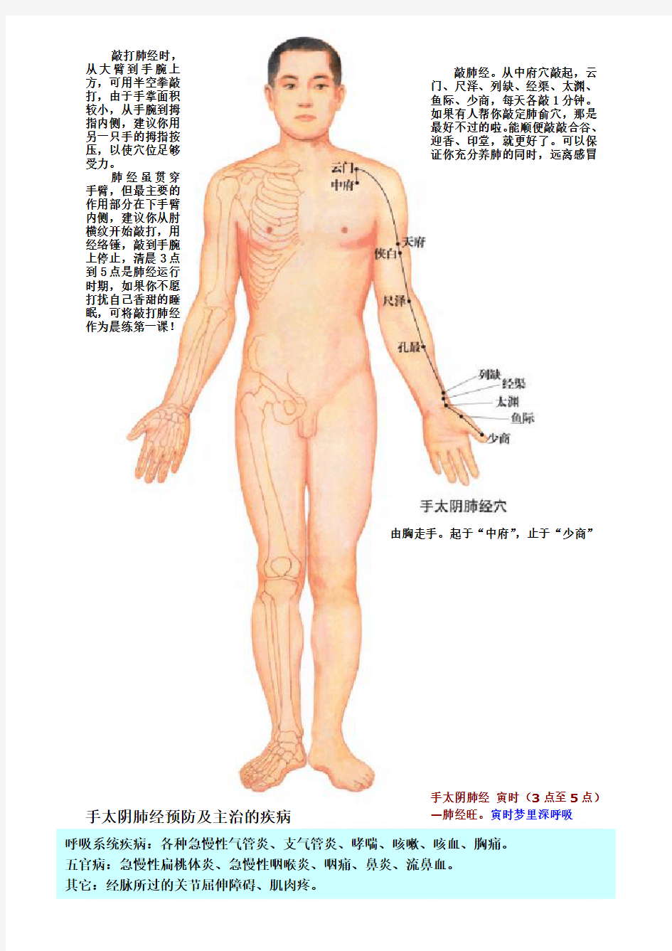 (完整版)经络图及其拍打知识总结