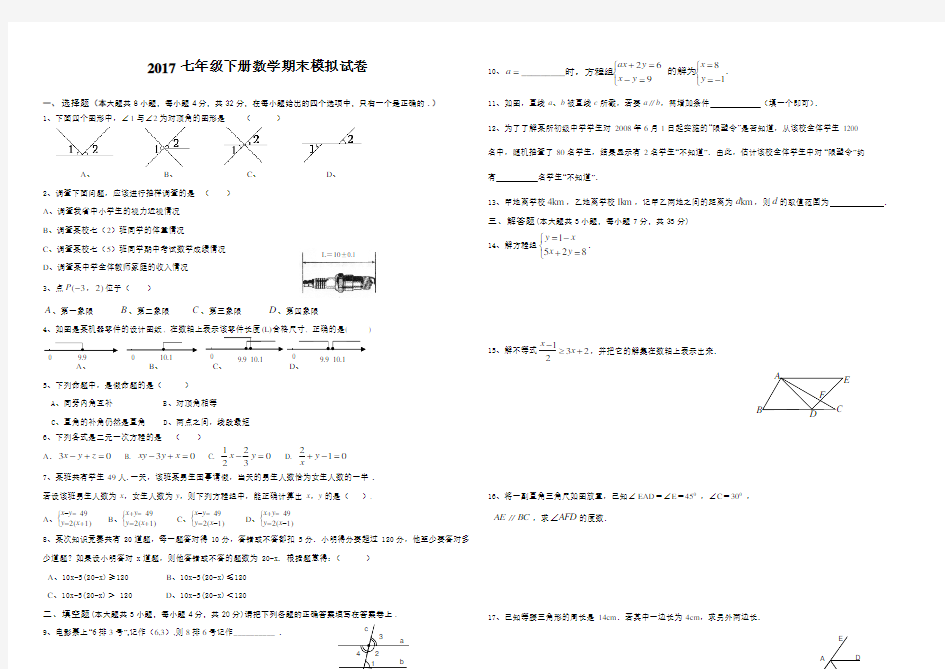 2017七年级-下册数学期末试卷