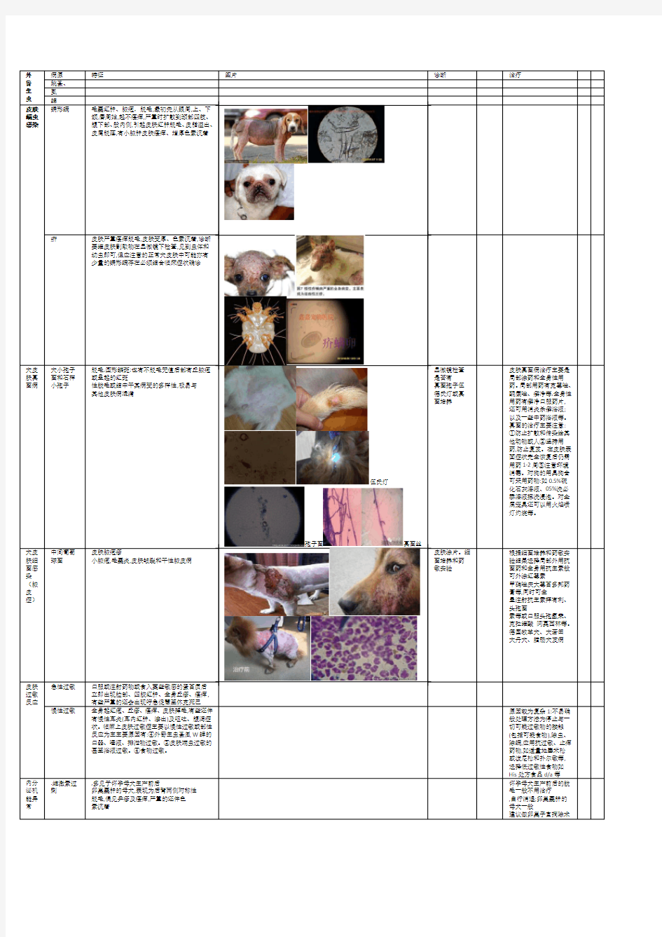 犬猫皮肤病