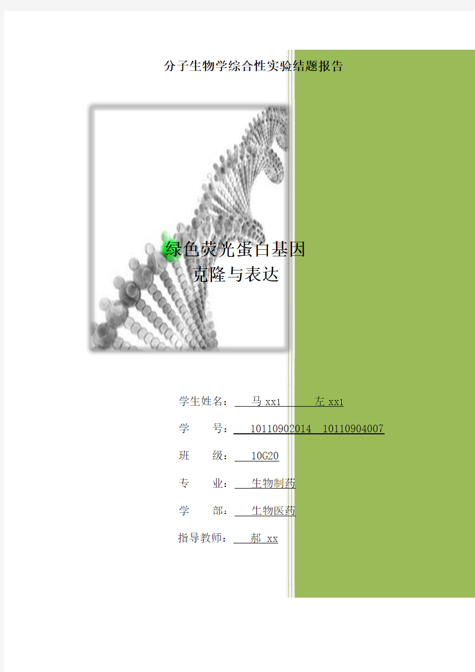 绿色荧光蛋白基因重组与鉴定