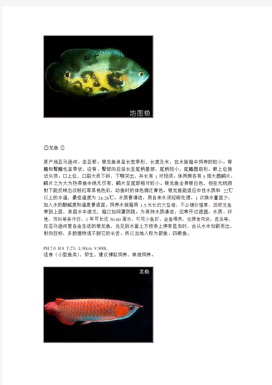 40种热带鱼简介
