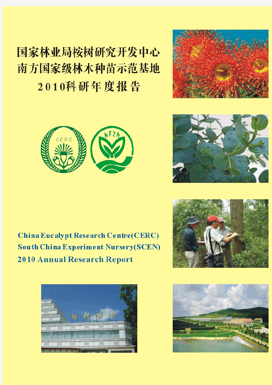 2010桉树中心科研报告