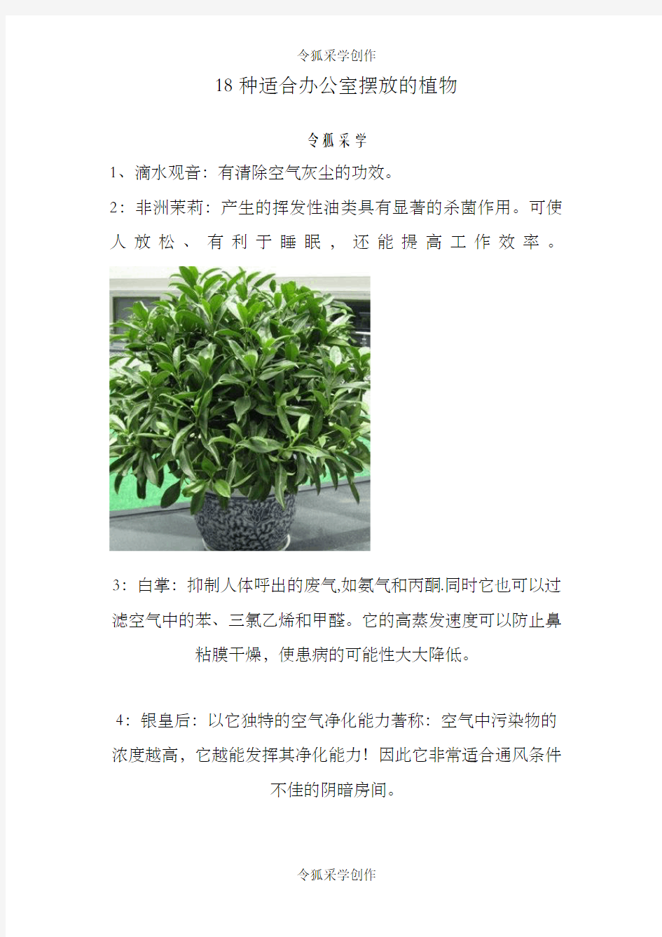 18种适合办公室摆放的植物