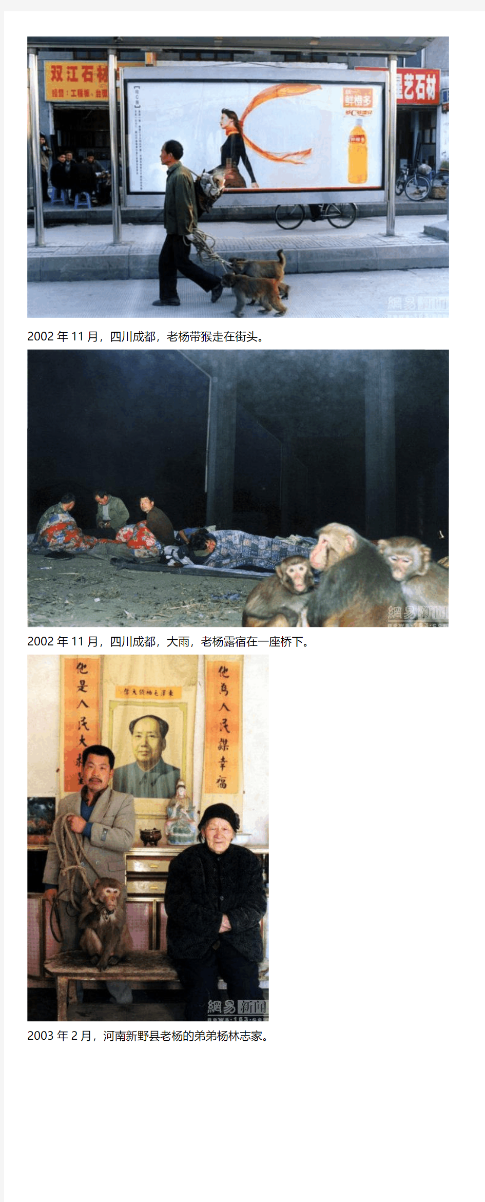 被环球摄影师拍,被城管抓,被赵钟祥白眼,尴尬的非议：河南耍猴人