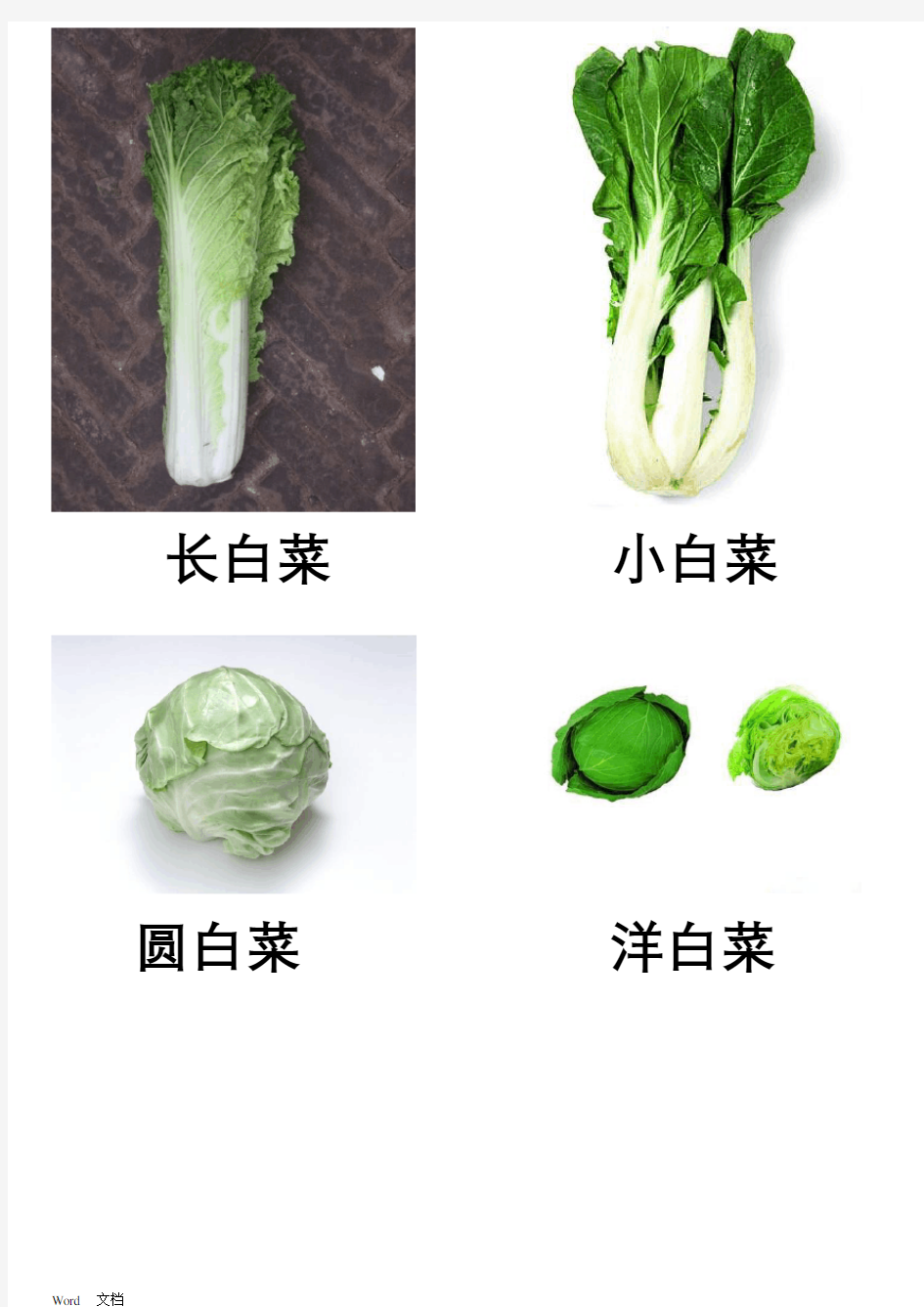 蔬菜图片大全