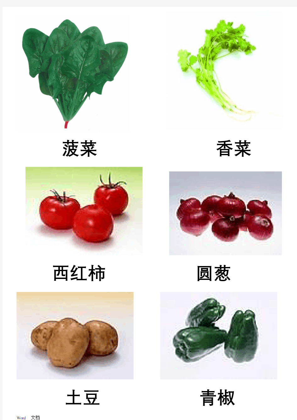 蔬菜图片大全