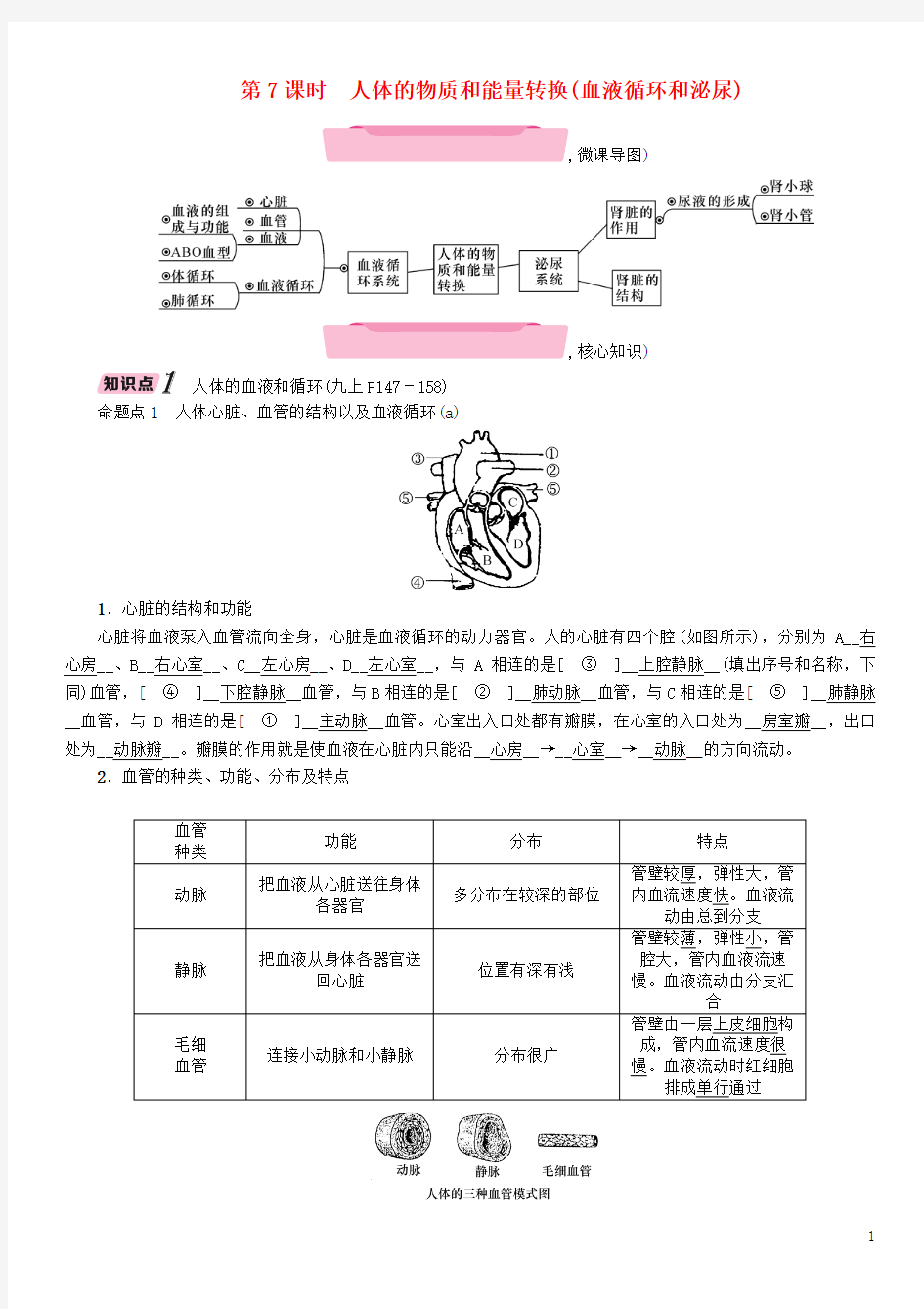 中考科学复习第1部分生命科学第7课时人体的物质和能量转换(血液循环和泌尿)精讲试题