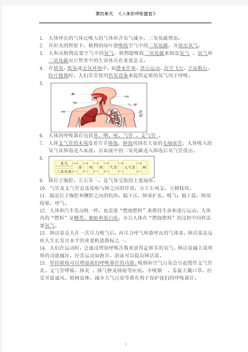 科学四上册第四单元知识点总结