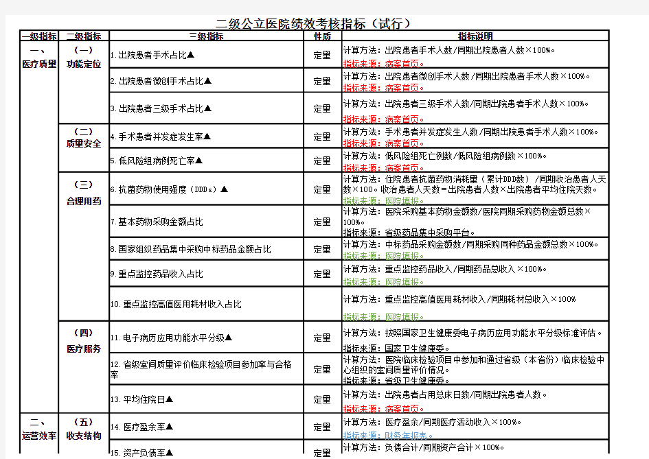 二级公立医院绩效考核指标(excel)