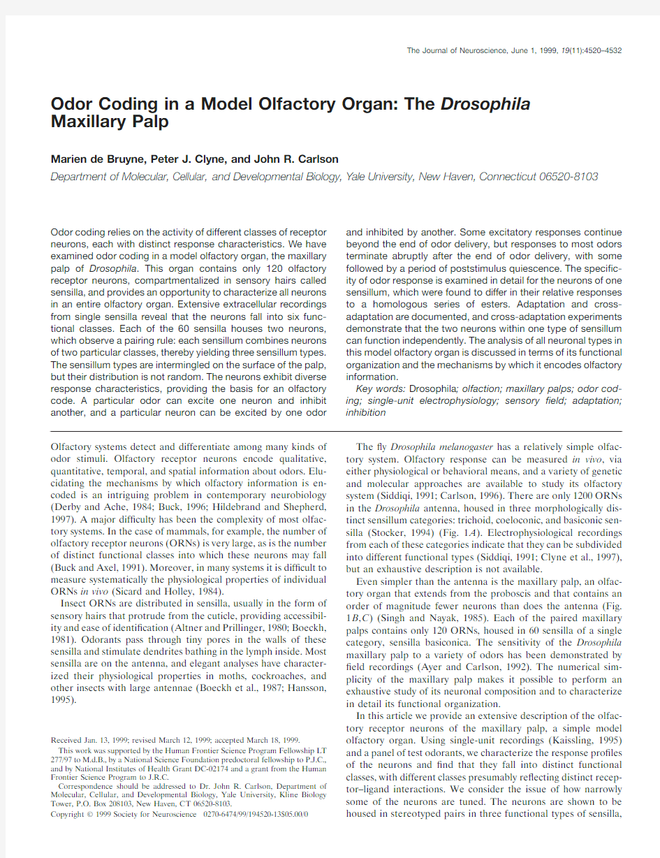 【56】Odor coding in a model olfactory organ：the Drosophila maxillary palp