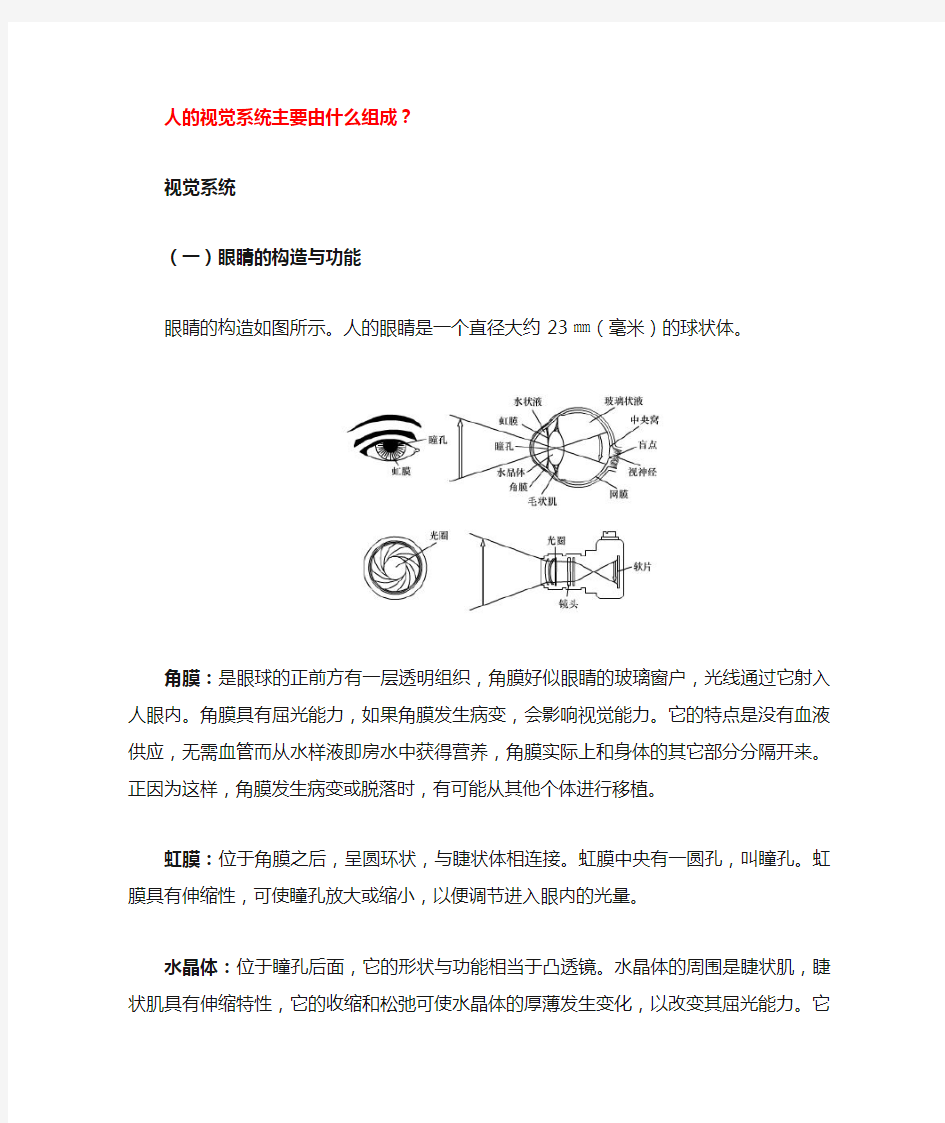 人的视觉系统主要由什么组成.