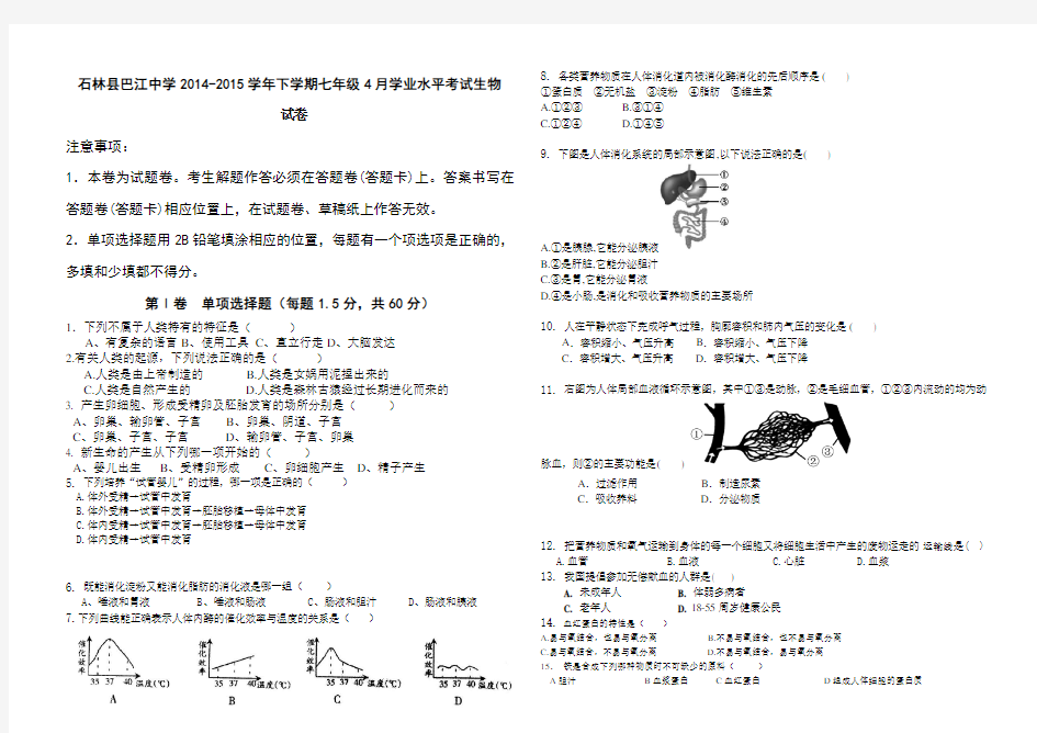 人教版七年级生物下册期中考试试卷