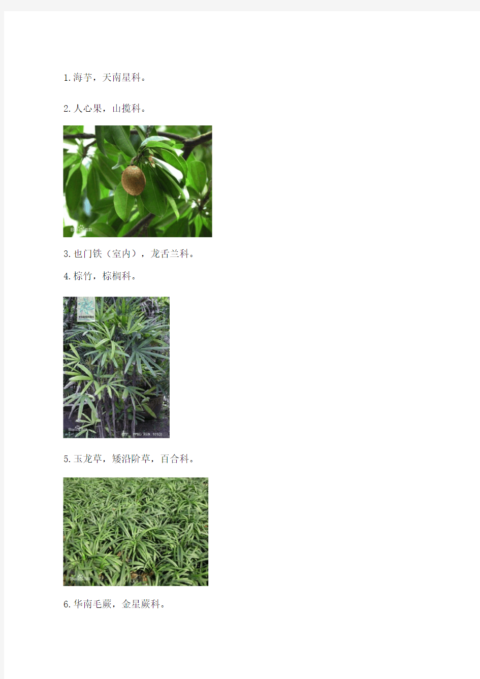 常见园林植物图片与名称种