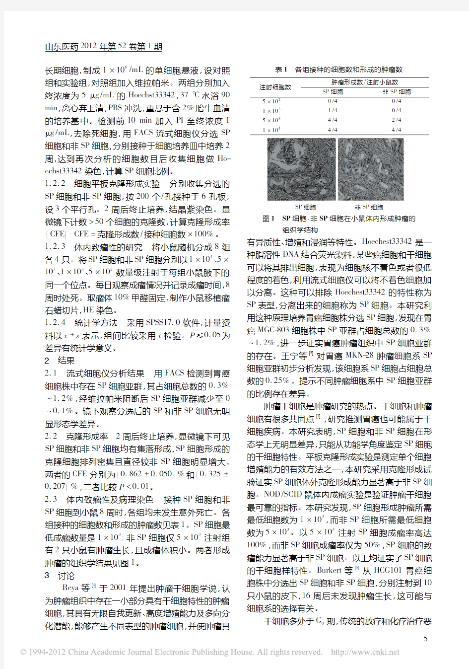 人胃癌细胞株MGC-803侧群细胞的分选与生物学特征