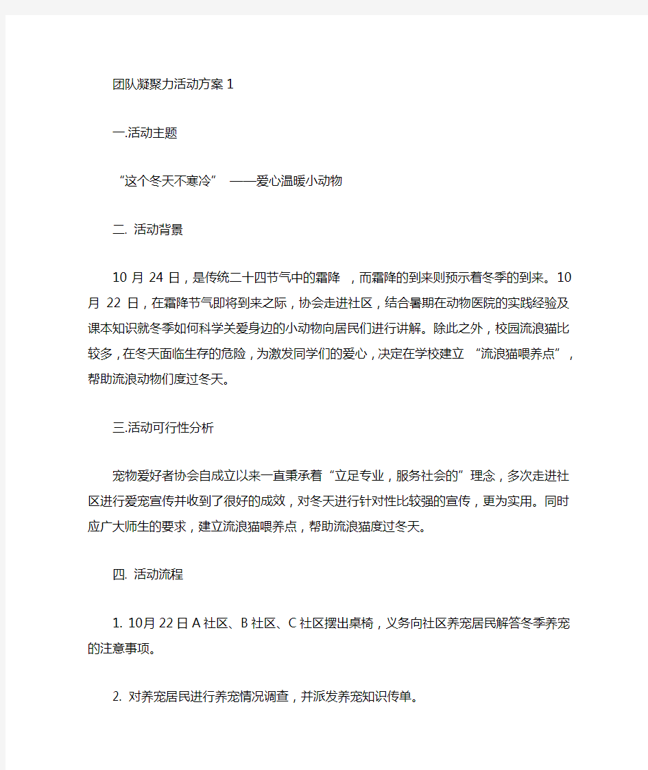 团队凝聚力活动方案