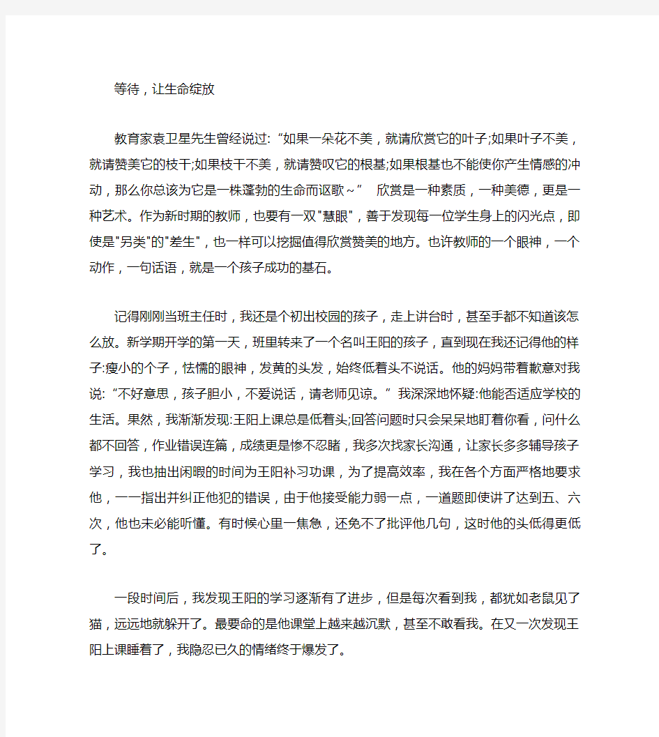 班主任德育故事演讲稿