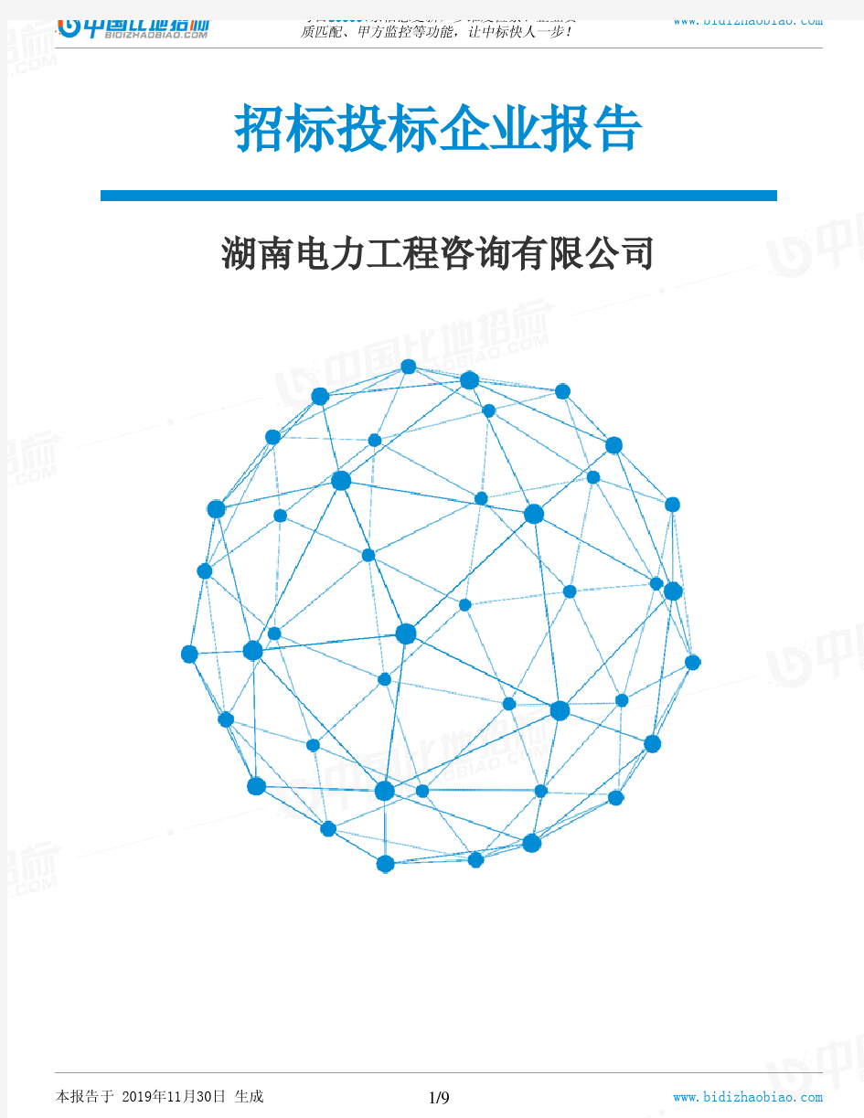 湖南电力工程咨询有限公司-招投标数据分析报告