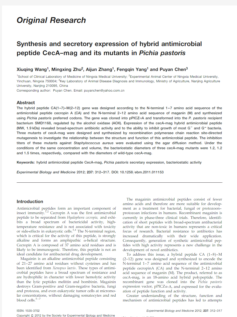 Synthesis and secretory expression of hybrid antimicrobial peptide CecA-mag in Pichia pastoris
