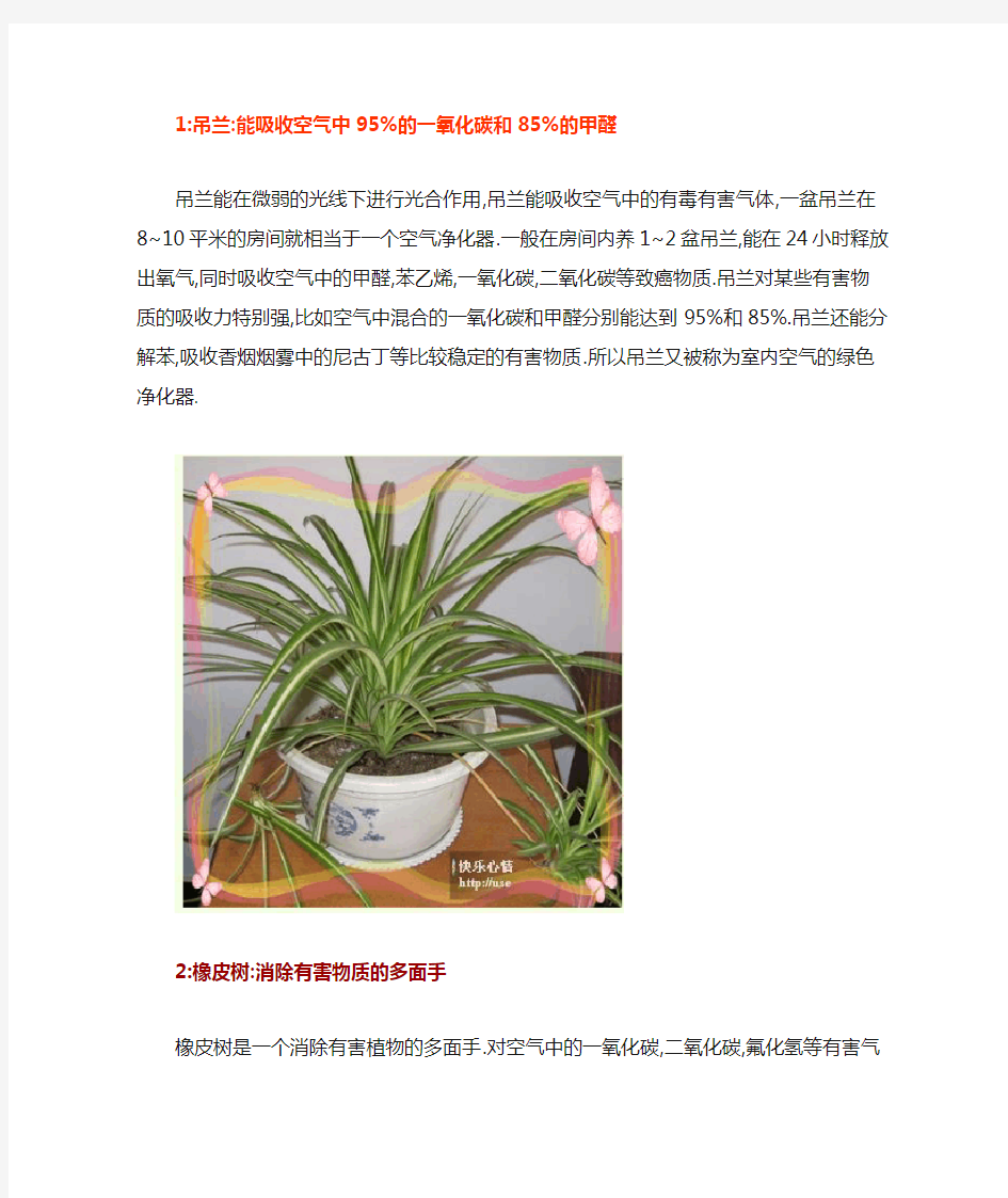 各种花的用途