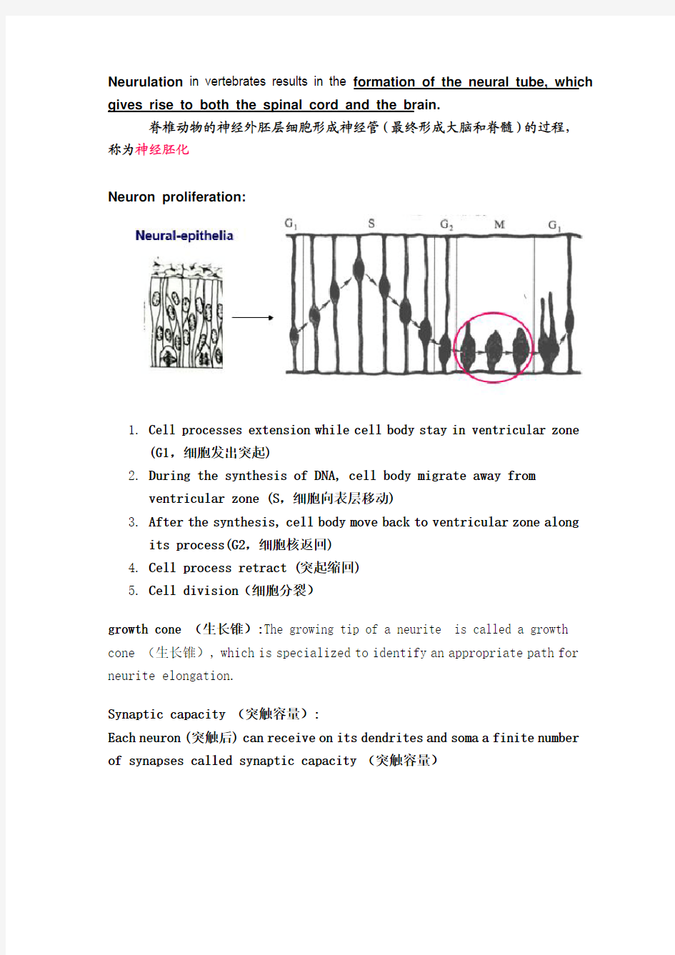 神经生物学名词解释