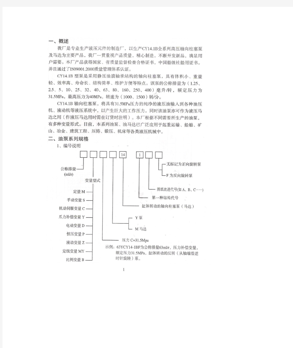 柱塞泵使用说明书