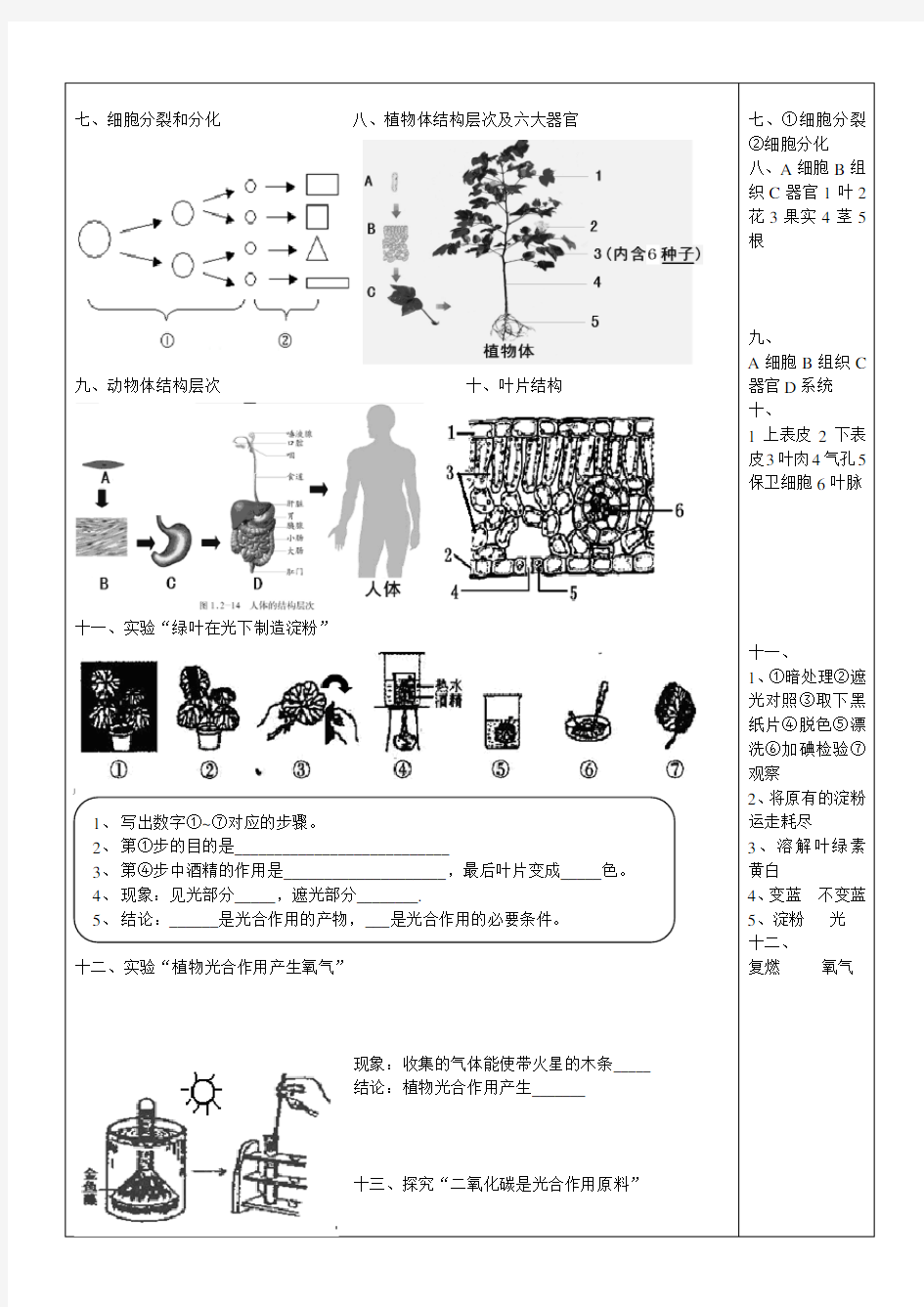 济南版初中生物七年级上课本图片(识图题),无答案