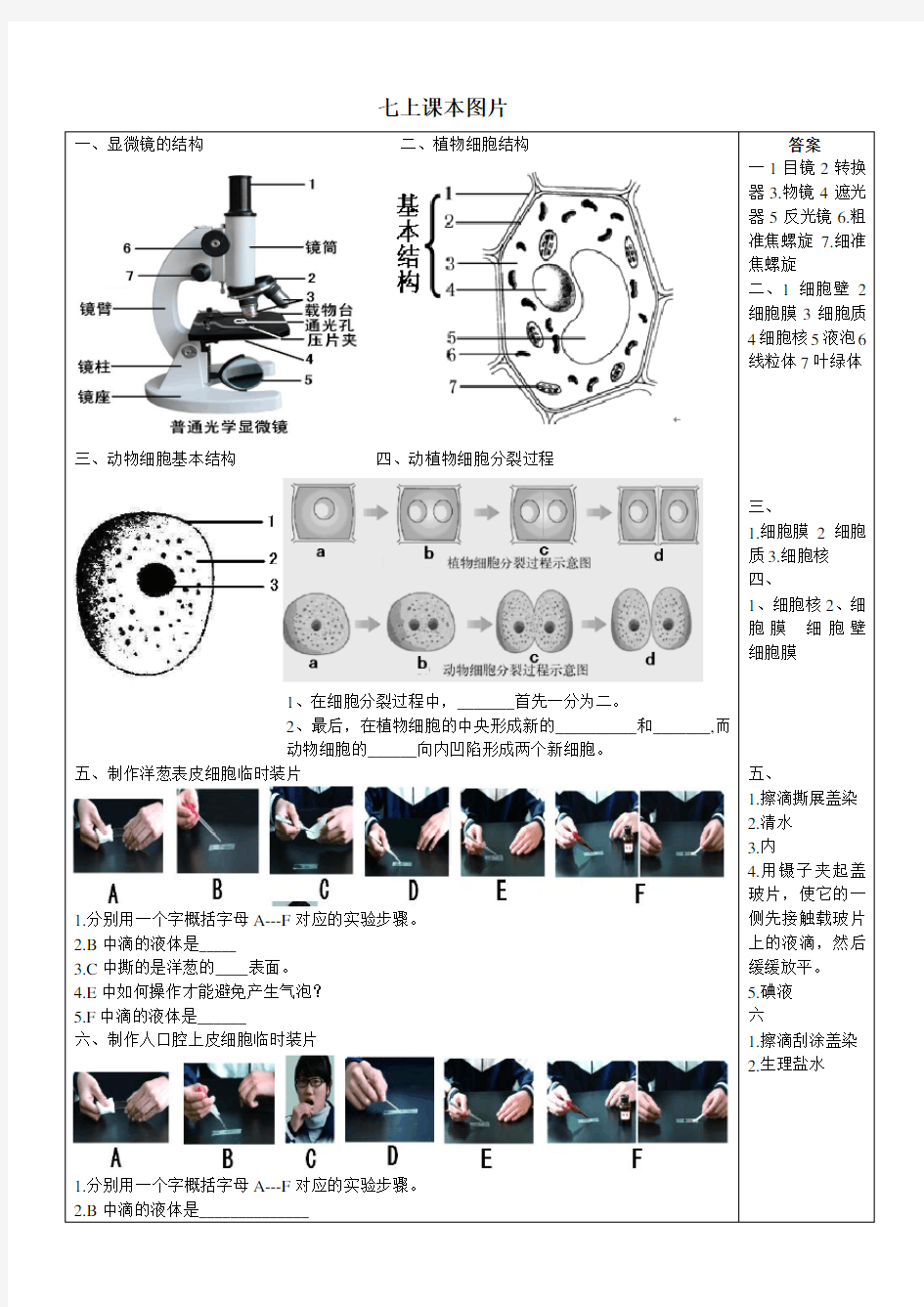 济南版初中生物七年级上课本图片(识图题),无答案