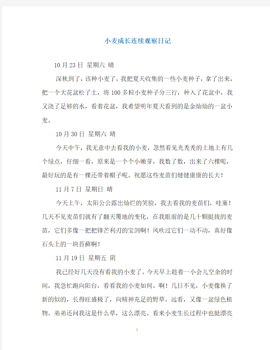 小麦成长连续观察日记